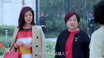 娱乐吃瓜小花设局视频,吃瓜小花设局视频背后的真相